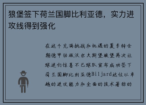 狼堡签下荷兰国脚比利亚德，实力进攻线得到强化
